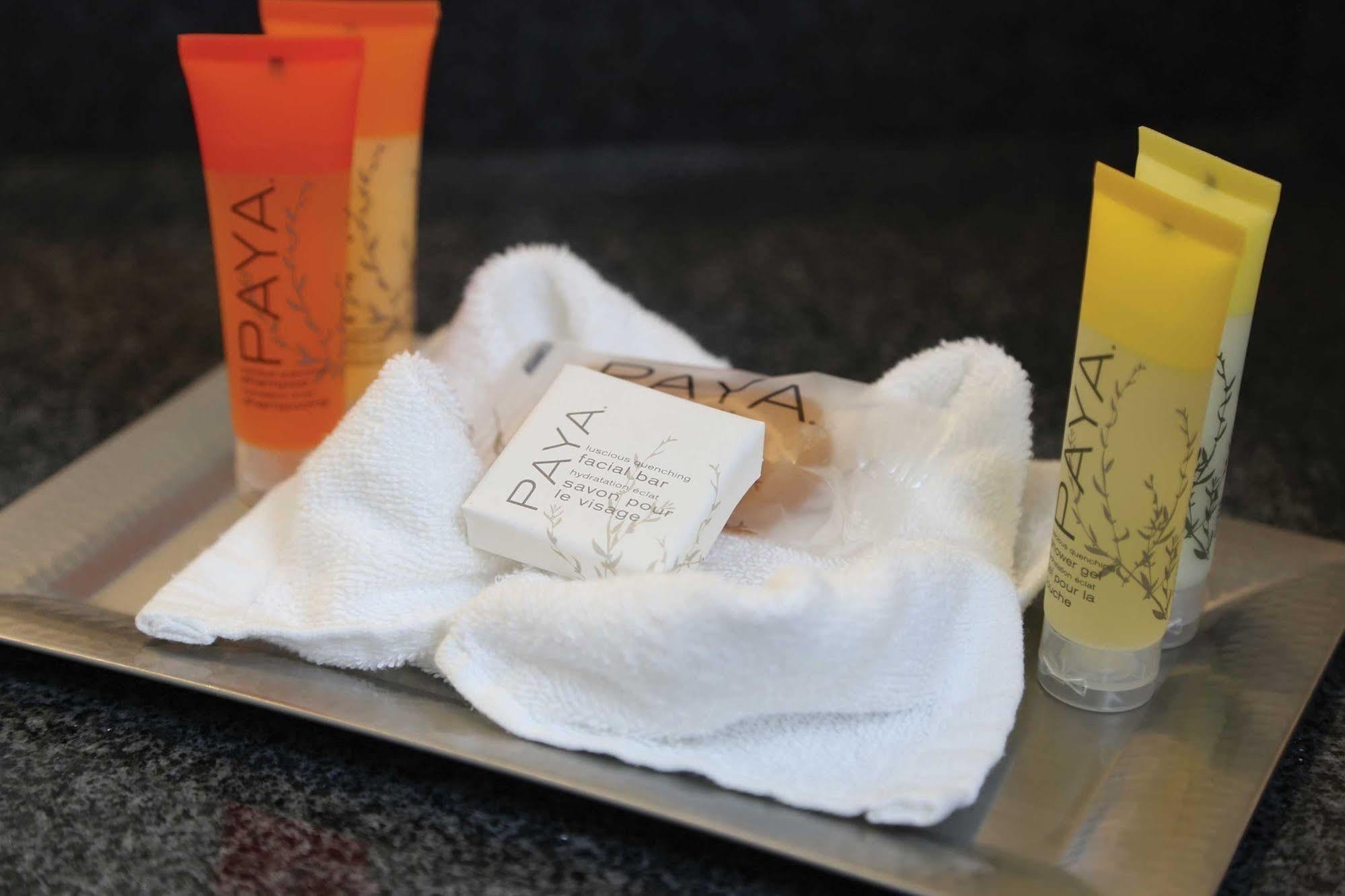 Surfbreak Virginia Beach Oceanfront, Ascend Hotel Collection Eksteriør billede